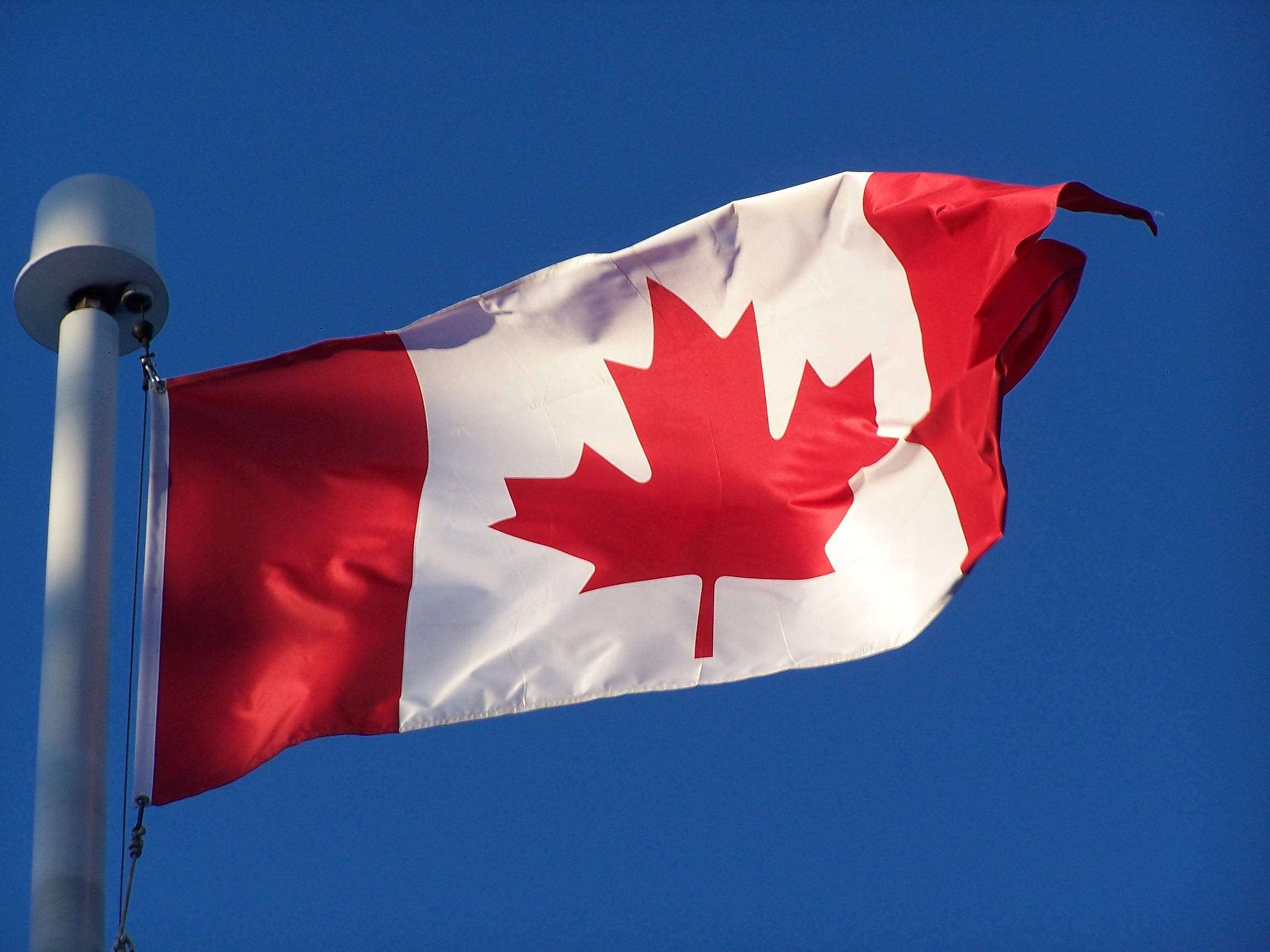 Canada payroll software