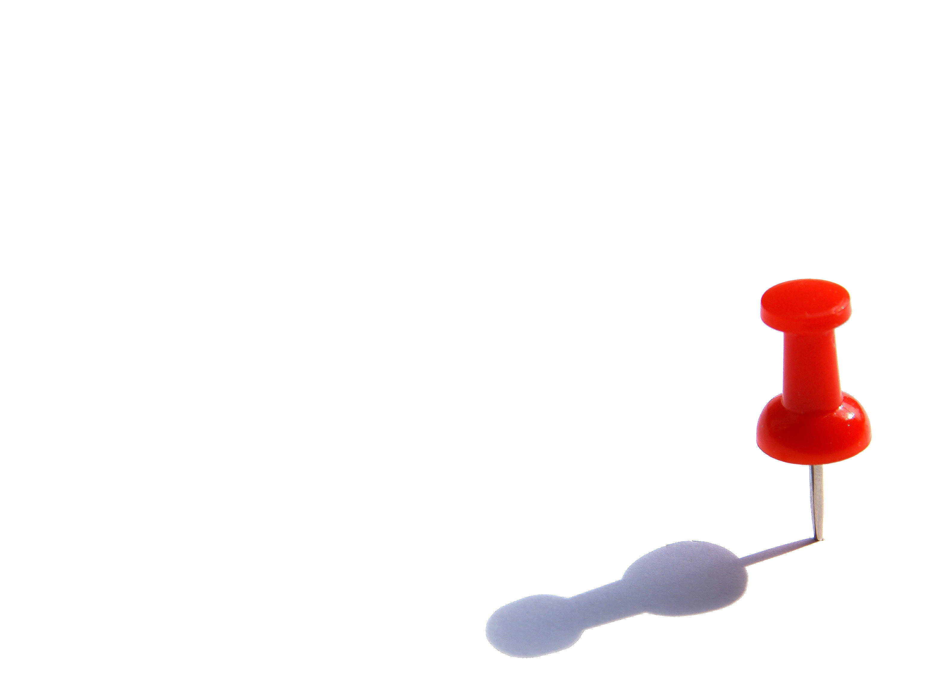 Simple Payroll Software